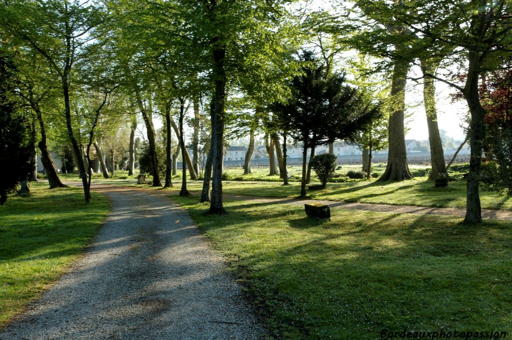Tout n'est pas que vignoble, la nature y est présente.