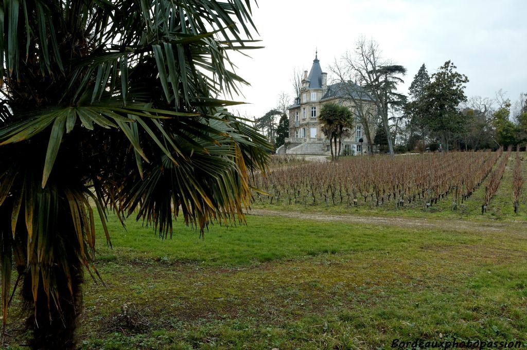 Il reste peu d'arbres anciens (cyprès chauves, palmiers), les tempêtes se chargeant de clairsemer le parc initial.