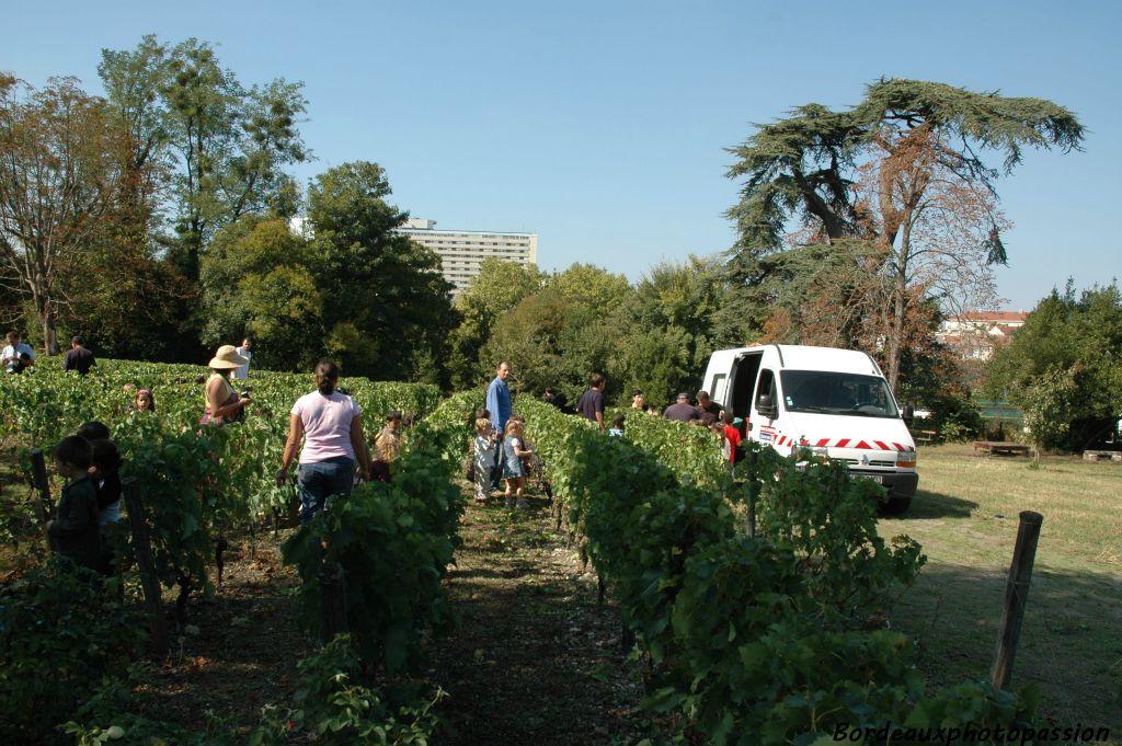 Le parc de La Béchade, coincé entre le stade Jacques Chaban-Delmas, les hôpitaux Pellegrin et Charles Perrens, a la particularité d'être planté d'un hectare de vignes.