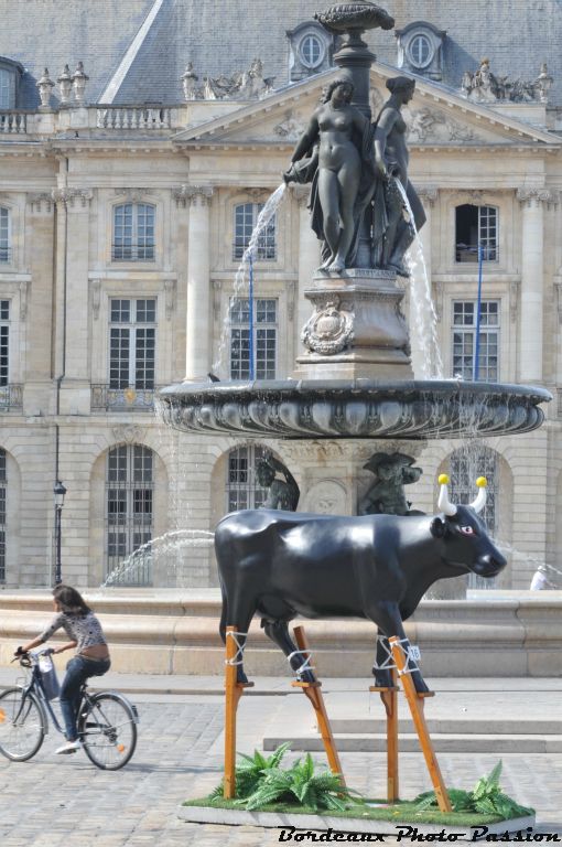 Notre vache landaise est souvent pleine d'humour comme son auteur.