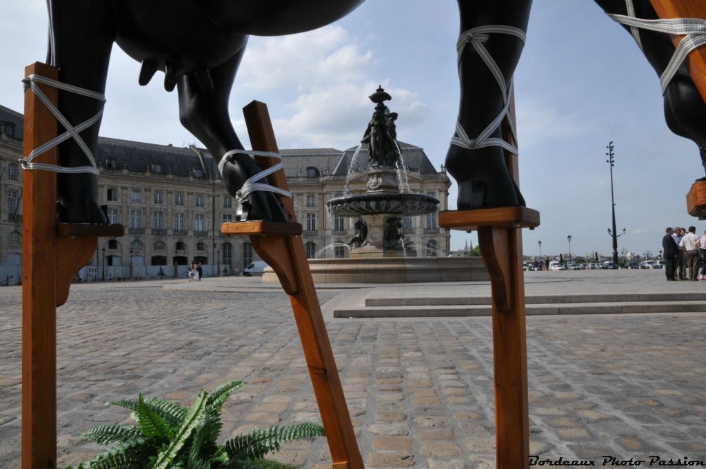 Sur les pavés de la place, les échasses deviennent inutiles.