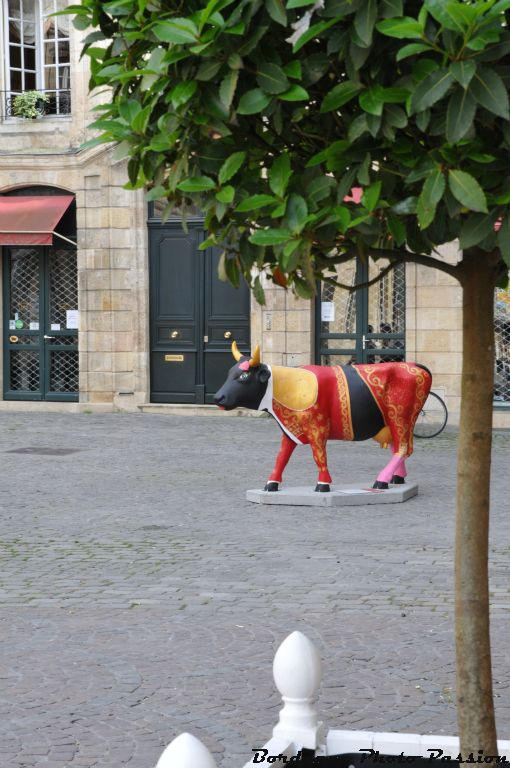 Sur cette place très minérale, elle a un tout petit peu de verdure.