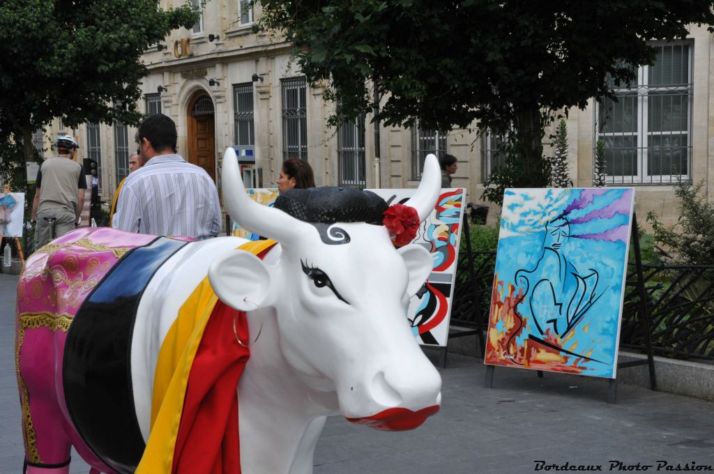 Éloïse Vene pour France 3 Aquitaine a choisi une vache couleur presque locale.