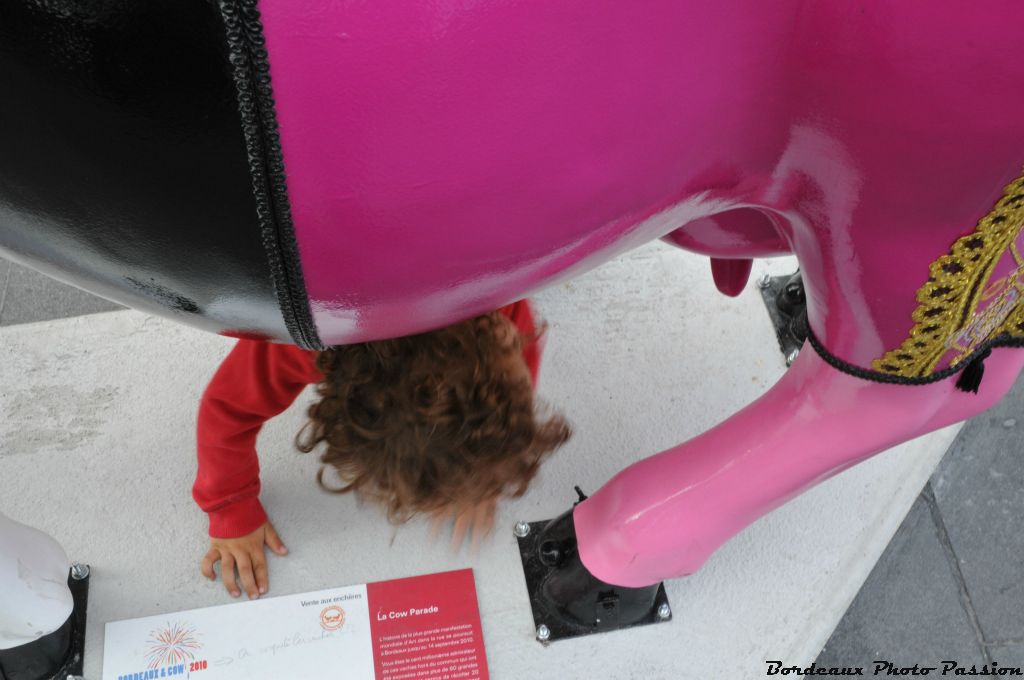 "Dis maman, combien elle a de tétines la vache ?"