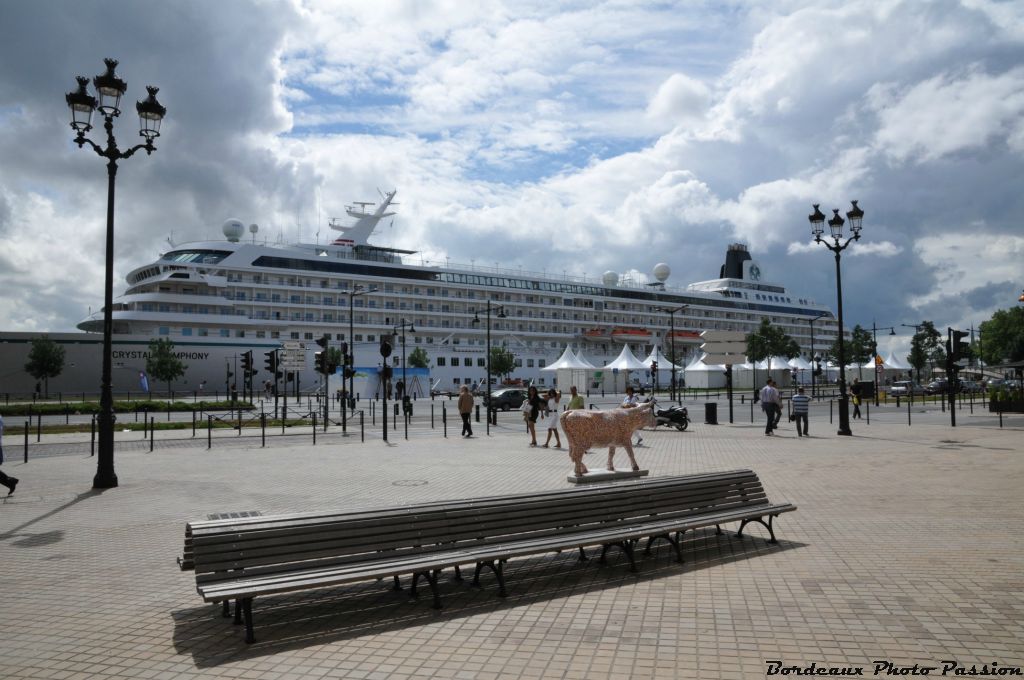 Même le  paquebot  Crystal Symphony s'est déplacé pour me voir. Je m'appelle "la baroudeuse and Co" et je sais ce que voyager veut dire.