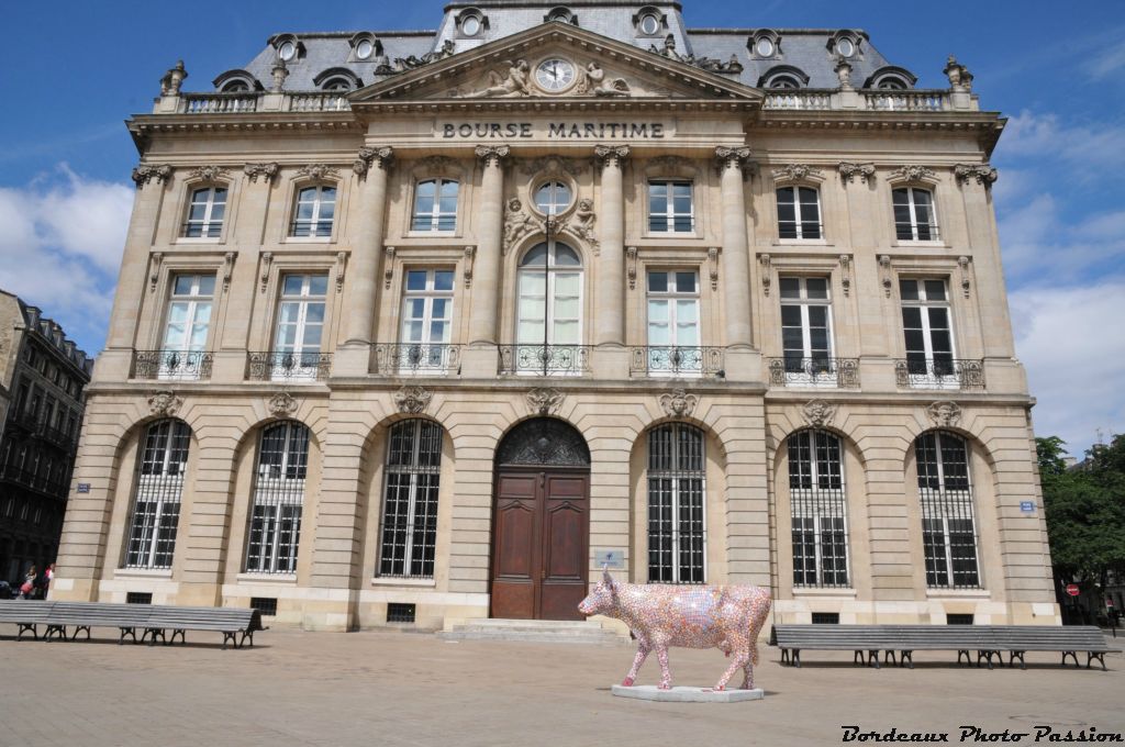 Si  on m'a placée près de la Bourse (pas la Bouse) maritime, ce n'est pas pour rien !