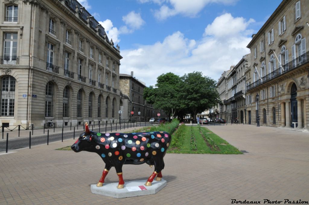 Je m'appelle So Wine. Comme vous le voyez, j'habite sur le pavé des Chartrons qui a été longtemps un lieu d'échanges et de commerce notamment du vin...