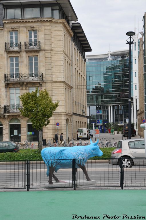 On m'a déposé tout près de la Cité mondiale. Je suis la propriété de la DRAAF Aquitaine.