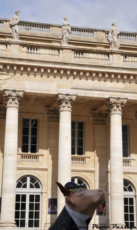 Une vache le nez en l'air qui regarde les muses du Grand Théâtre, c'est plutôt rare. 