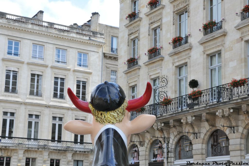 Une vache qui regarde l'hôtel The Regent et le cours de l'Intendance c'est plutôt bizarre.