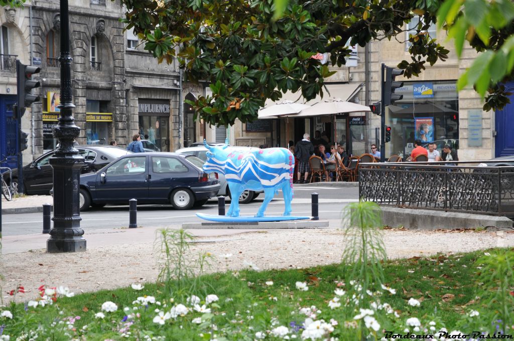 Si la place Gambetta est un peu le nombril de Bordeaux, alors moi, Belharra, conçue par la Fondation d'Auteuil de Blanquefort, je suis bien placée !