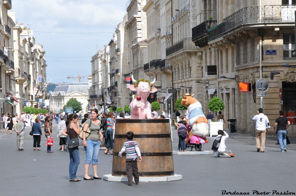 Vacchus, le Beau-Vin n'est pas comme la plupart de ses copines sur ses 4 pattes.