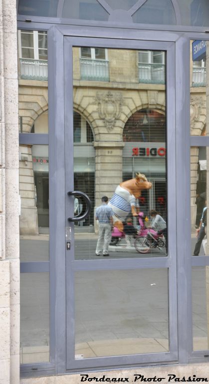 V.I.C. la Vache Halée est sur un scooter...