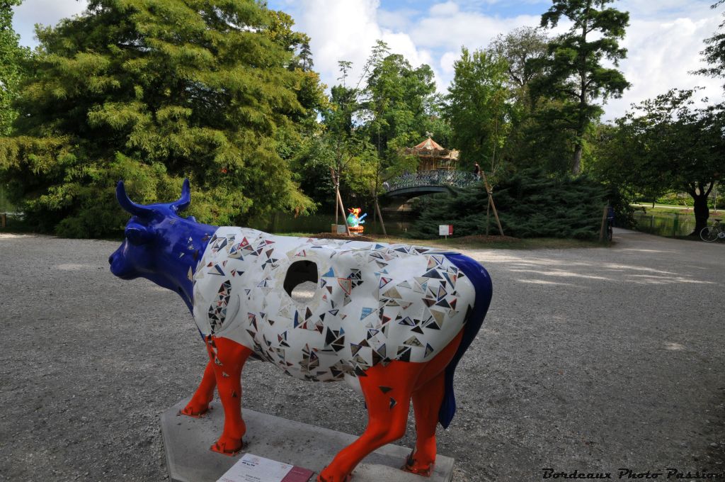 Coop Corn n'est pas seule dans le coin du jardin public. En effet "vache à l'eau" prend toujours son bain.