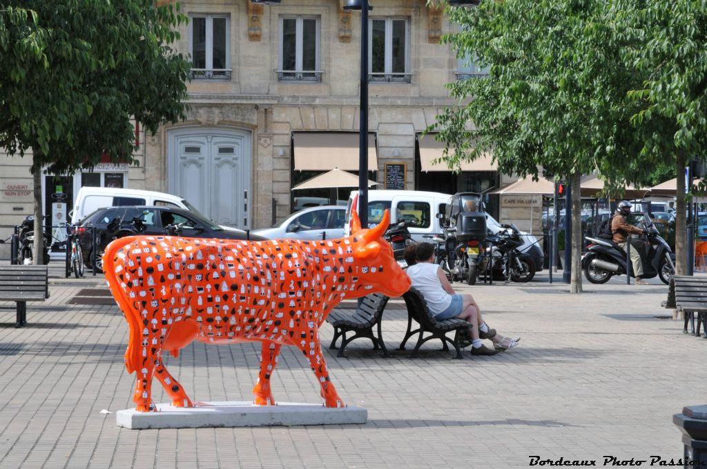 Tout le monde ne lui porte pas le même intérêt.