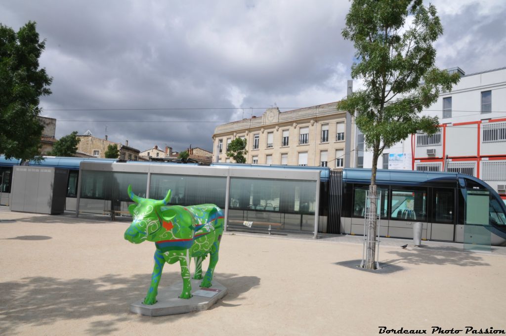 Les tramways de la ligne C...