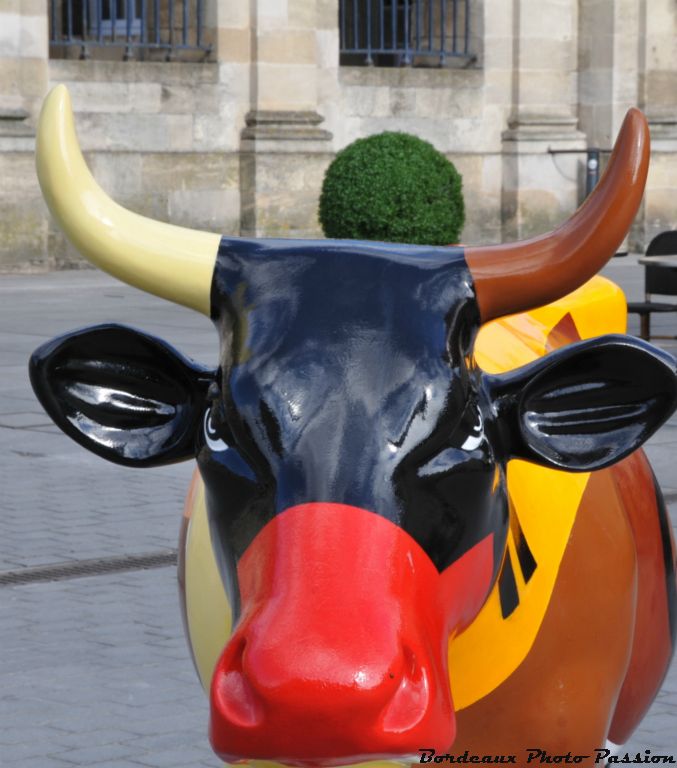 Un cadrage malheureux et nore vache passe pour un marin vert avec son ponnpon sur la tête.