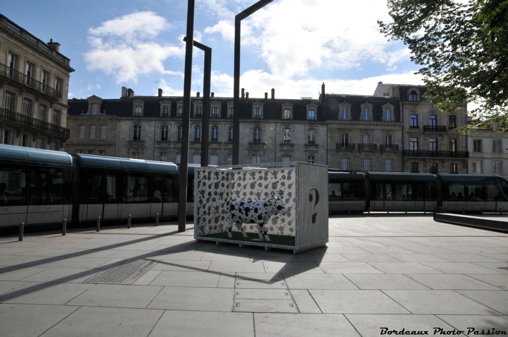 Une vache en noir et blanc par opposition à la vache engagée haute en couleurs ! Le tramway lui sert souvent d'écrin.