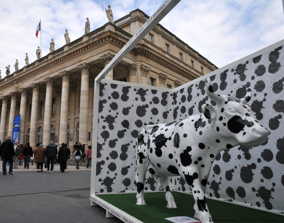 La vache la plus connue à Bordeaux et pour cause. Elle avait pris de l'avance en s'exposant dès le mois de mai place de la Comédie alors que ses futures copines étaient en pleine gestation.