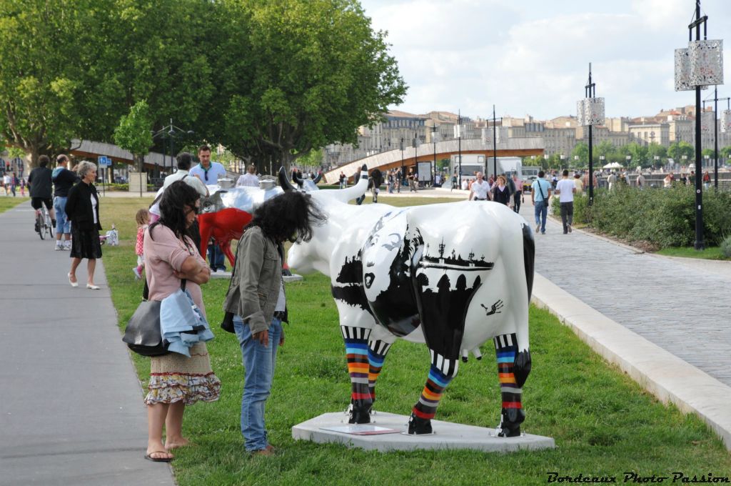 Art'n'Roll Cowllection  de Marie Rolland a pu voir pendant quelques jours la passerelle Kawamata, enlevée depuis.