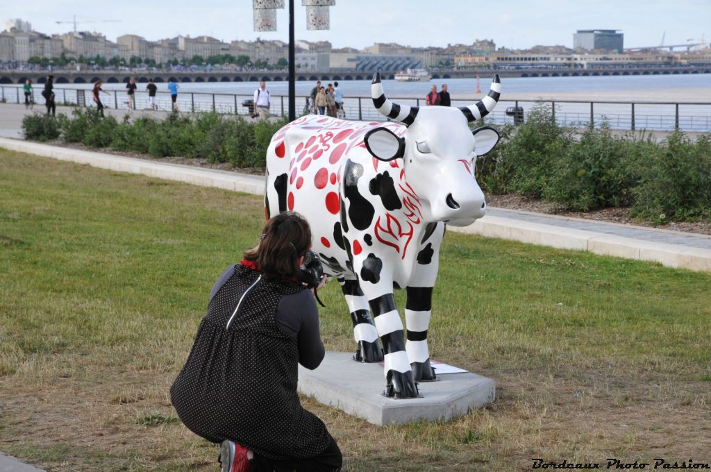 La star est prise en photo sous toutes les coutures. Elle s'appelait Bacchus Cow au moment où cette photo a été prise.