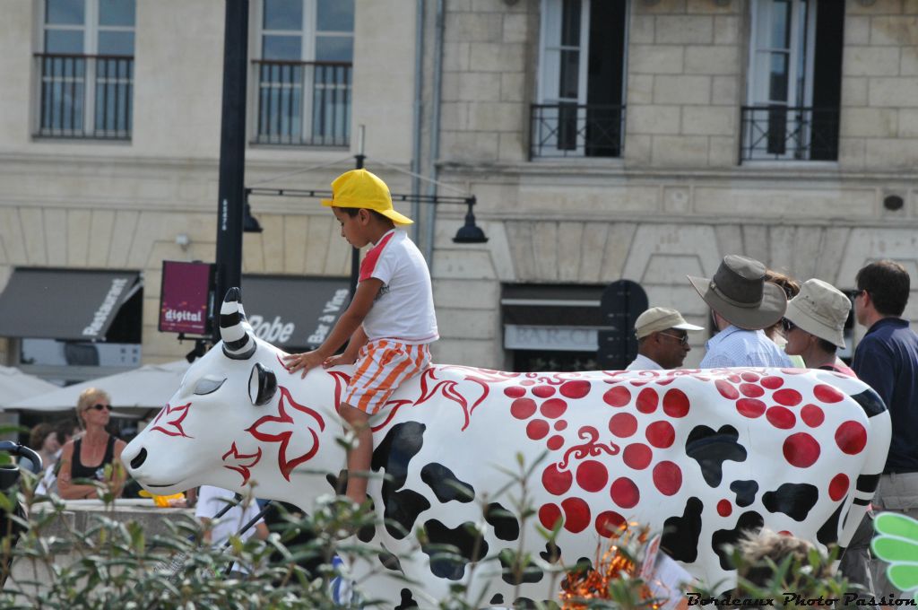 Une vache docile que l'on enfourche facilement comme un cheval !