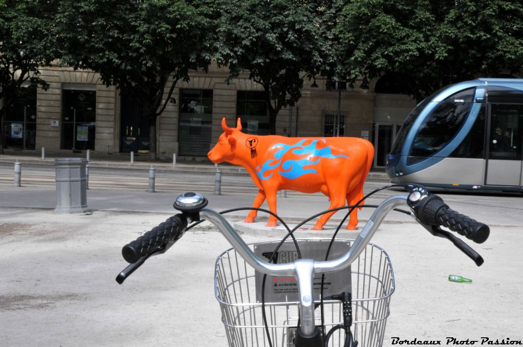 Je suis tout près d'une station de vélos Vcub bien sûr !