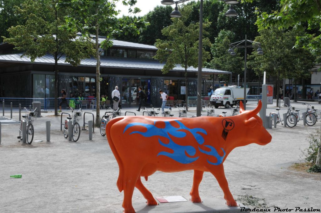 Près du pôle multimodal, à côté de l'Office de Tourisme, je vois beaucoup de gens pressés de prendre leur tram.