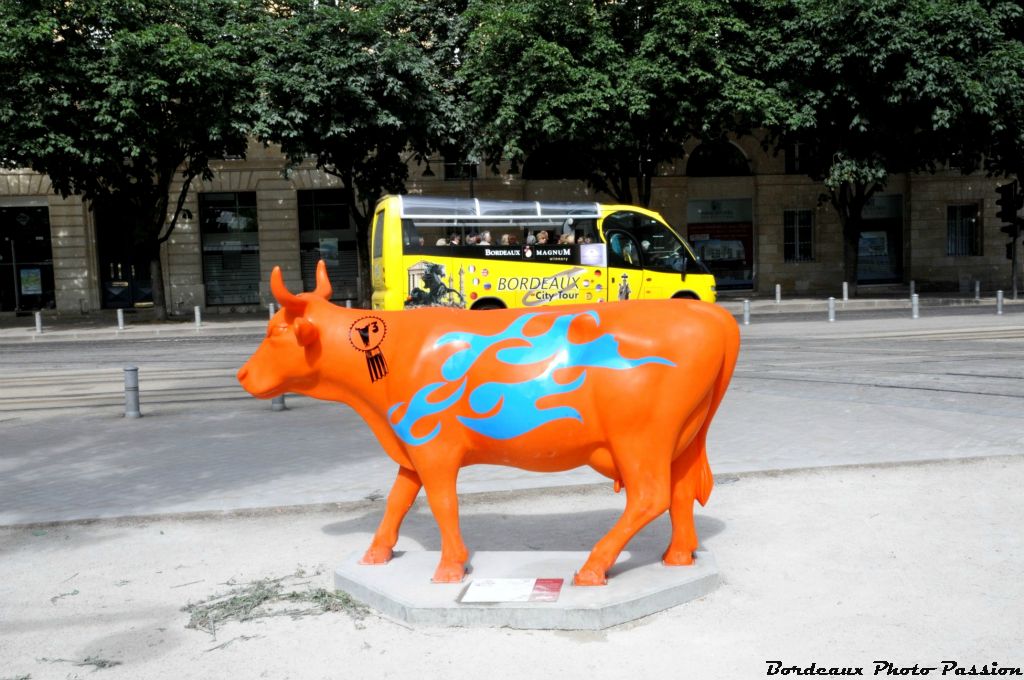 J'en ai souvent plein le dos des bus de City Tour...