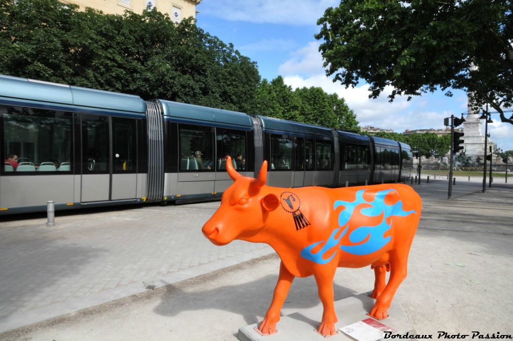 plein le dos du tramway...