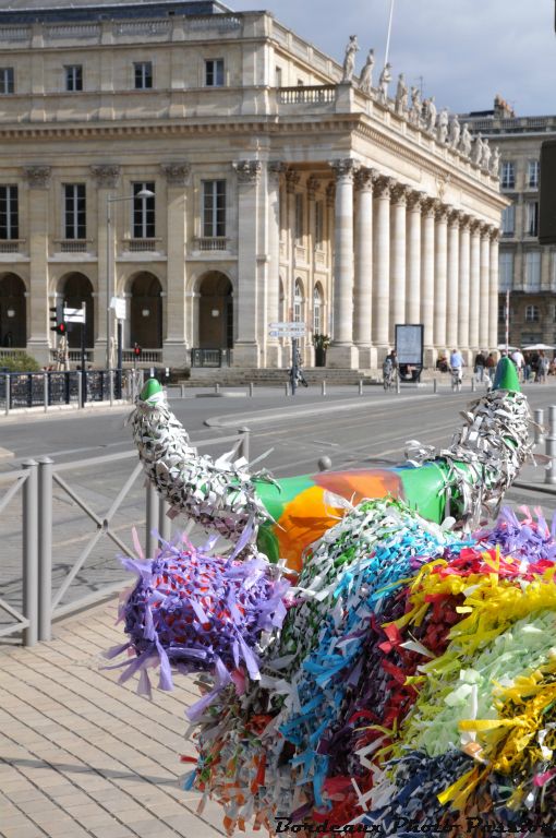 DD33 observe les muses du Grand Théâtre à longueur de journée mais aussi les touristes sur la place de la Comédie toute proche.