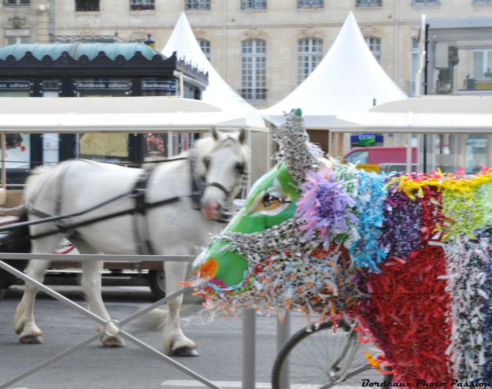 Parfois DD33 rêve de voir d'autres animaux venir lui rendre visite.