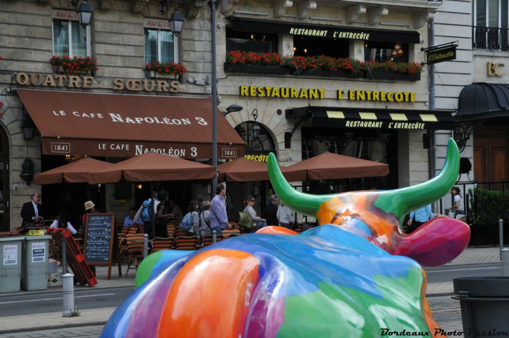 C'est vraiment une faute de goût d'avoir posé notre bovidé en face du restaurant "l'Entrecôte" !