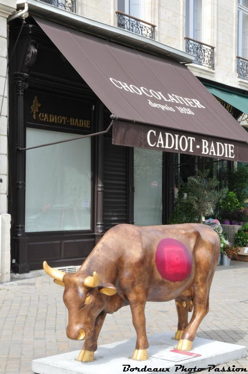 Vous vous trompez certainement en associant la robe chocolat de cette vache avec la boutique toute proche.