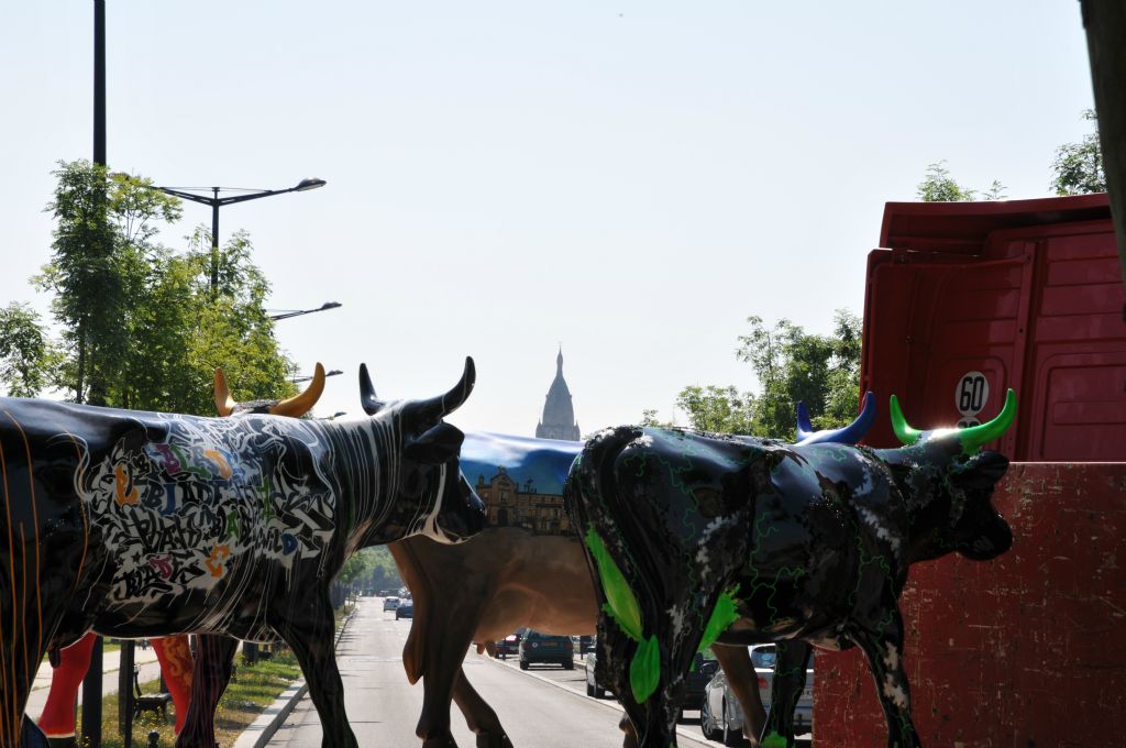 Le clocher de l'église Sainte-Marie de la Bastide veille sur les vaches. Les moteurs des camions vrombissent, le départ est imminent...