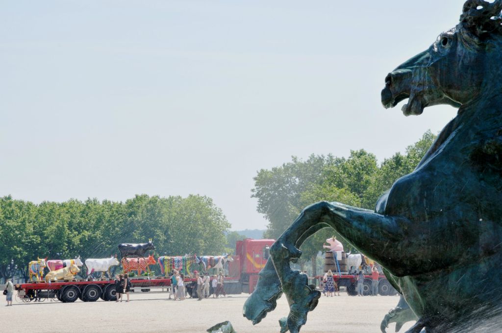 Un cheval de la fontaine du monument aux Girondins se cabre dès qu'il voit arriver ces animaux colorés.