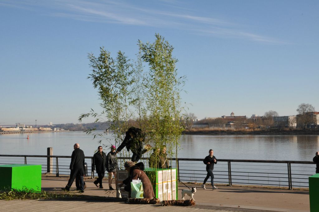 Une forêt de bambous sur les quais...