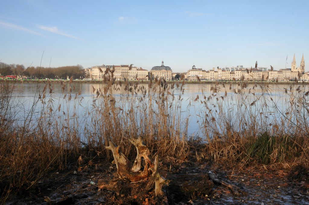 A marée basse, la Garonne dépose ses débris sans demander si Bordeaux est classé UNESCO ou pas !