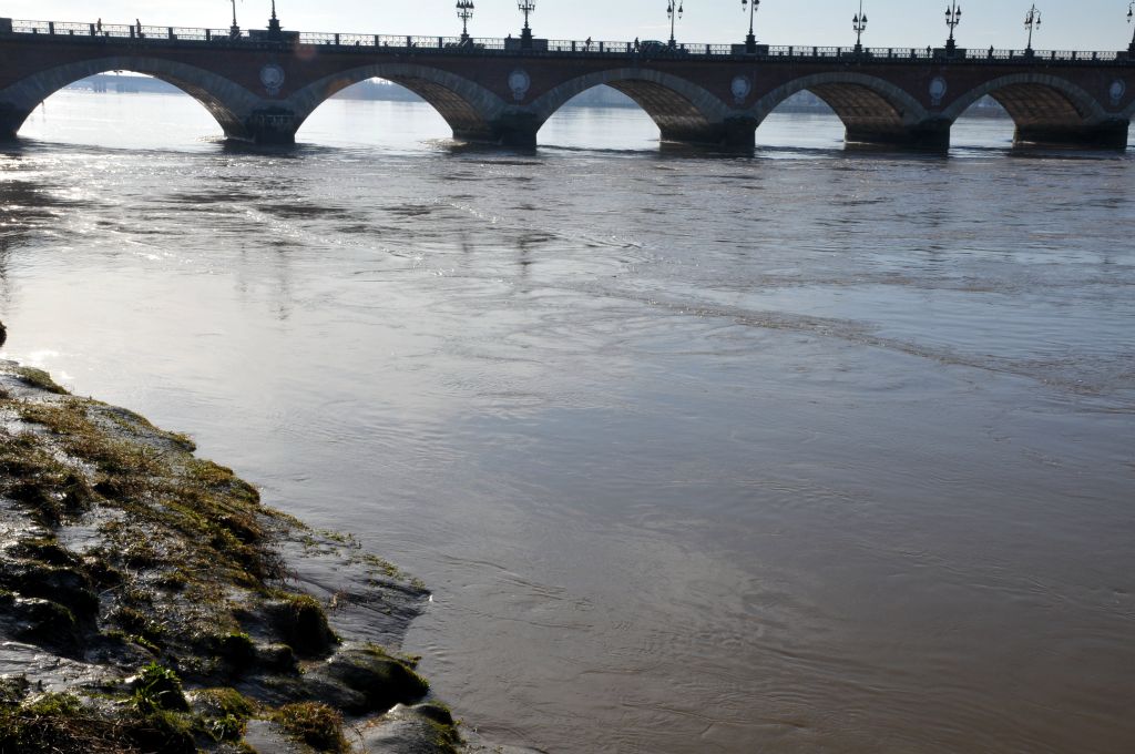 La Garonne est agitée en cette fin du mois de janvier. Il faut dire que les coefficients de marées sont au-dessus de 100.