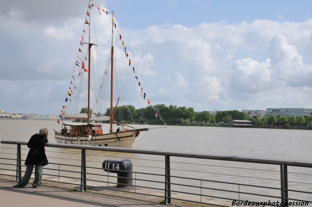 C'est un dimanche matin paisible sur les quais bordelais. La goélette Sinbad attire la curiosité car les bateaux sont rares sur la Garonne.
