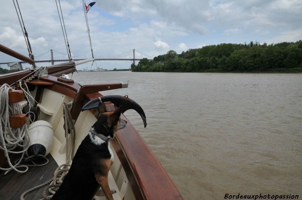 Nous arrivons bientôt près du pont d'Aquitaine.