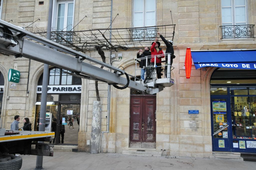Une nacelle a été déployée par le service des espaces verts de la ville de Bordeaux.
