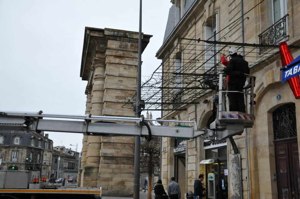 Cette treille est la seule rescapée de 5 pieds plantés sur cette place fin XVIIIe siècle. Elle  a résisté aux gelées, aux maladies près de la porte d'Aquitaine (à l'époque porte Saint-Julien).