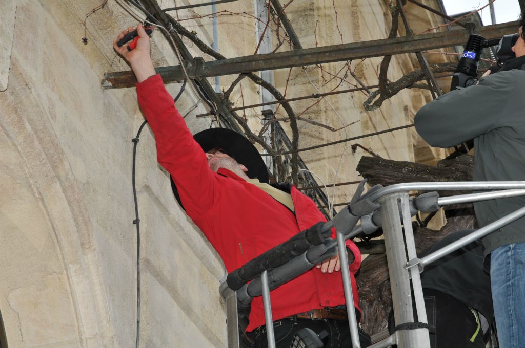 Jean-Michel Duclos n'a pas l'habitude faire attention aux fils téléphoniques et électriques quand il taille la vigne ! Pour ce pied, il vaut mieux être prudent.