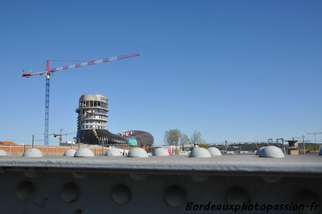 La Cité du vin pousse tel un champignon.