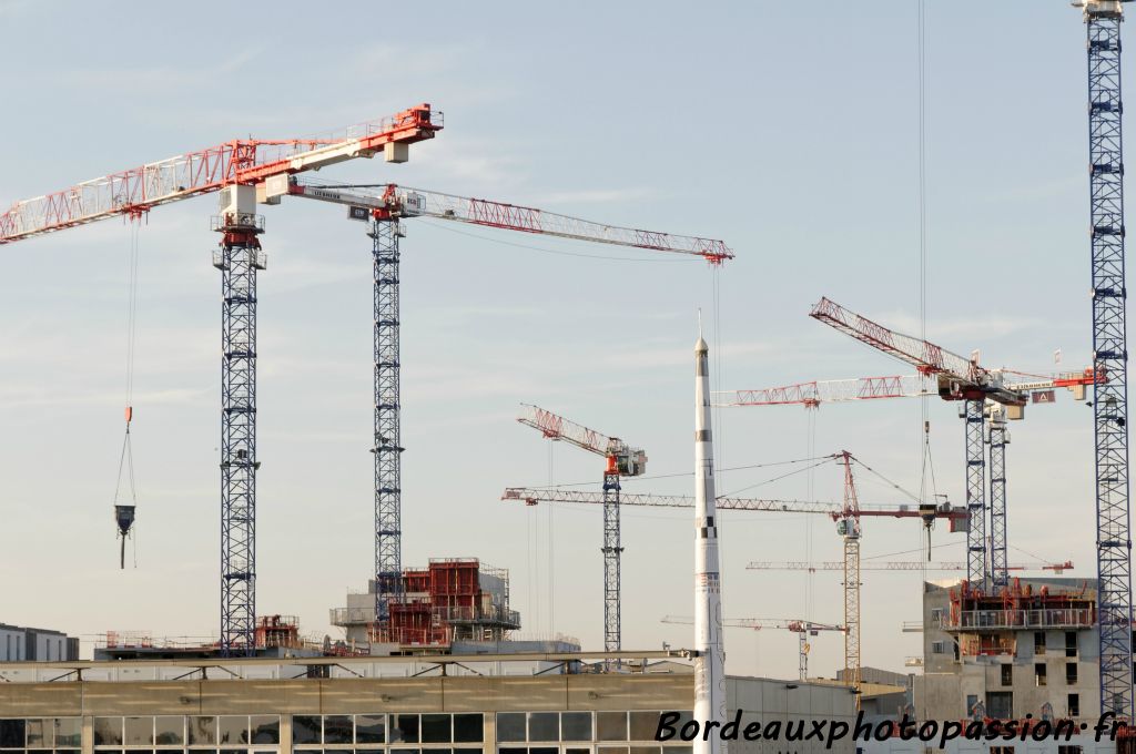 Ballet de grues.