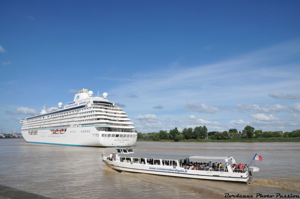 Le bateau Burdigala propose souvent des balades pour accompagner les paquebots à l'ocassion de leur départ.