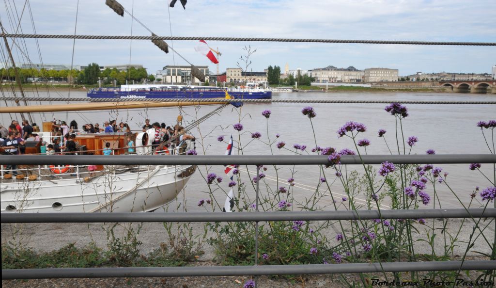 Il attend patiemment le moment propice pour passer sous le pont de pierre.