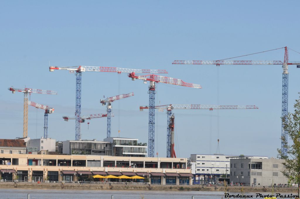 Ballet de grues derrière le quai des marques pour la construction de nombreux bâtiments dans le quartier des Bassins à flot.