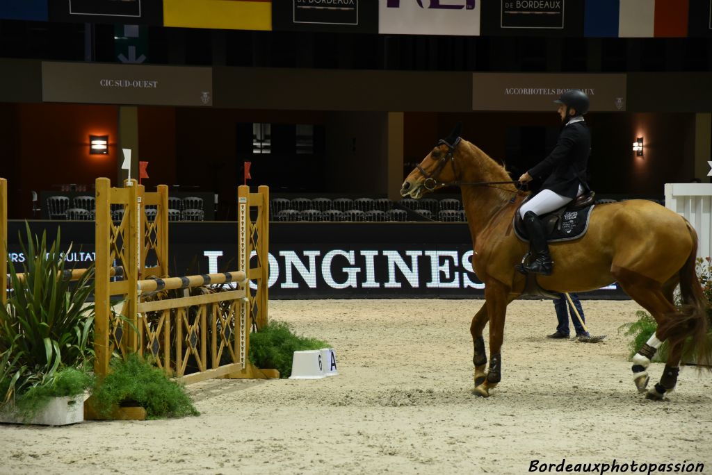 Ce cheval est à l'arrêt devant un obstacle : c'est un refus. Au bout de trois c'est l'élimination !